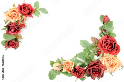 Border from roses