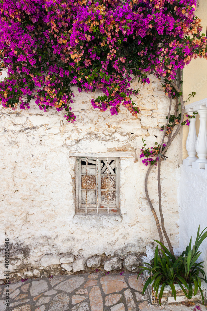 Decorated wall of old house in greek village, Corfu, Greece - obrazy, fototapety, plakaty 