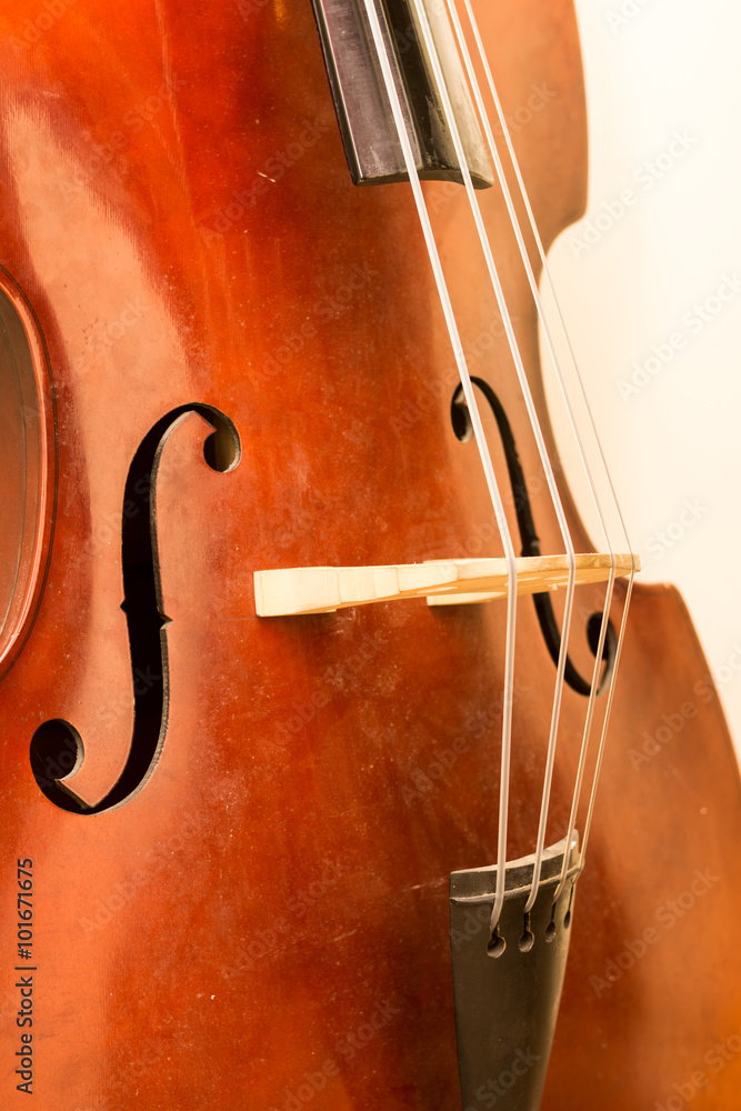 Contrabass wooden instrument details Contrabass wooden instrument details