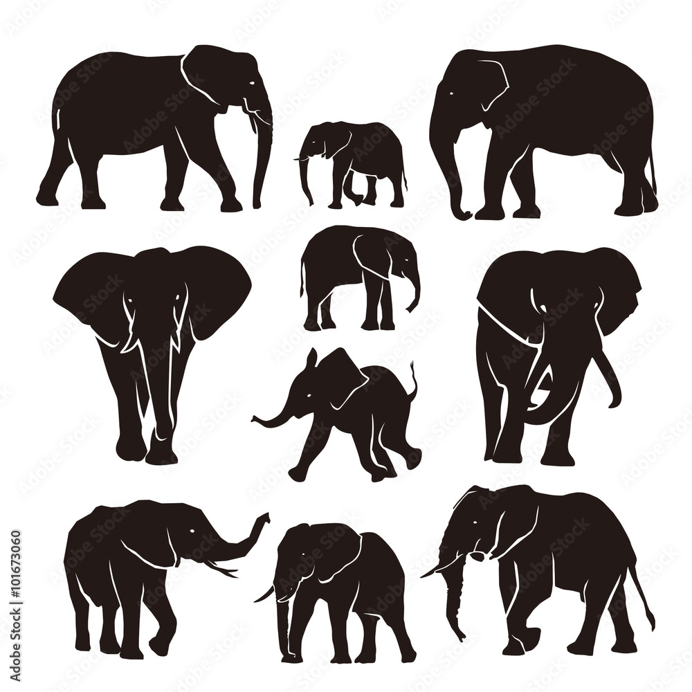 Naklejka premium Elephant silhouette