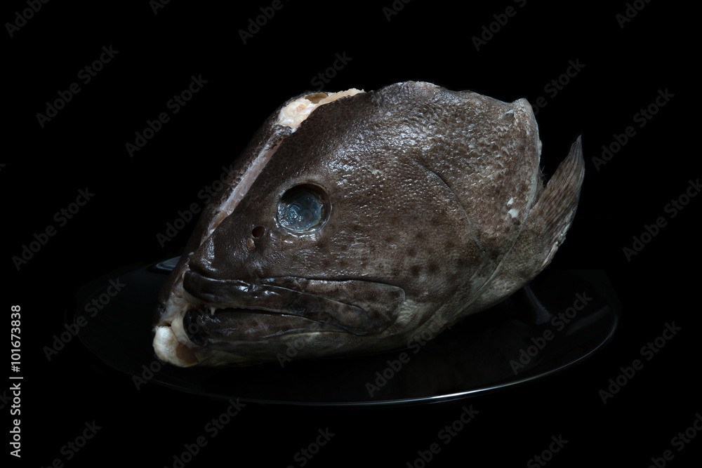 Obraz premium Grouper head in plate