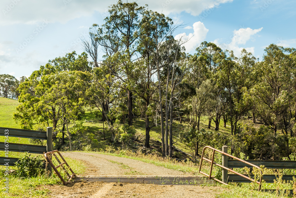 Road through a pasture, with a cattle grid in the foreground. Rural NSW, Australia