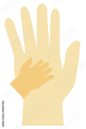 Adult's Hand and Baby's Hand, isolated on white 