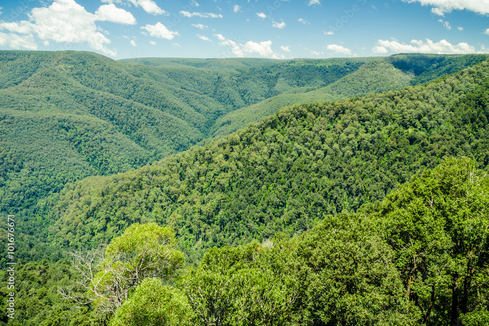 View from Thunderbolts Lookout, Barrington Tops National Park, NSW, Australia