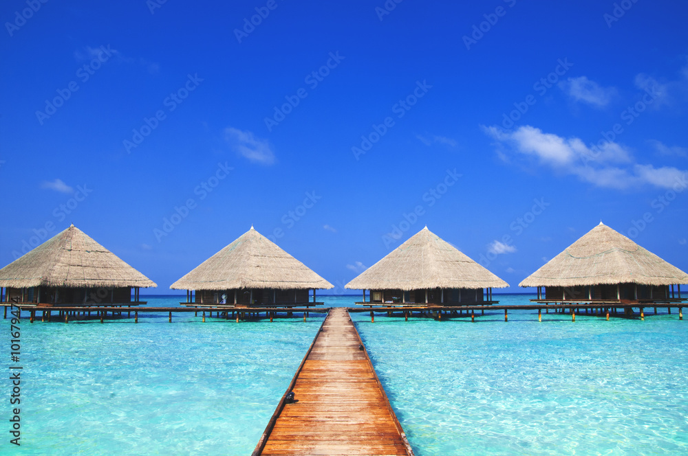 Maldives Dock Clear Water Refreshing Concept Maldives Dock Clear Water Refreshing Concept