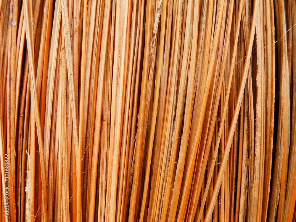 Broom Coconut Broom Coconut