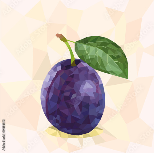 Polygonal plum in vector