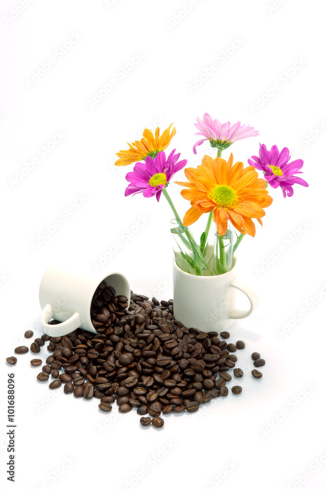 custom made wallpaper toronto digitalChrysanthemum and roasted coffee beans isolated on white backgro