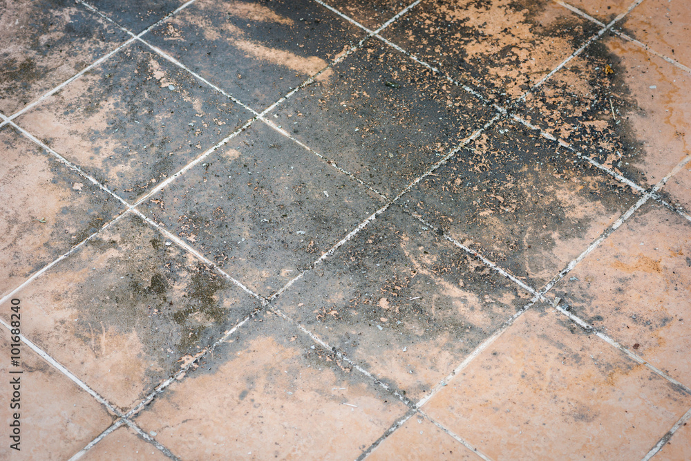 Foto Mildewed tiled floor