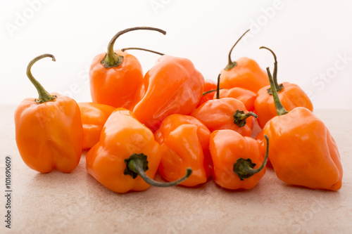 Habanero Pepper