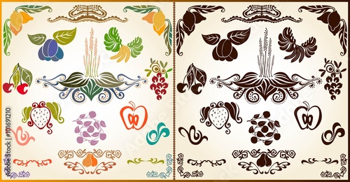 set of abstract floral elements silhouettes