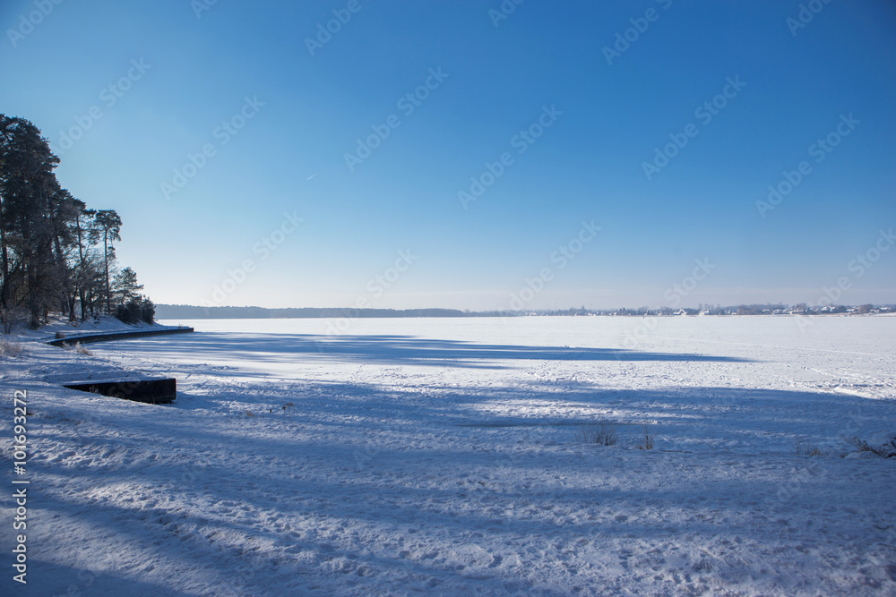 winter landscape
