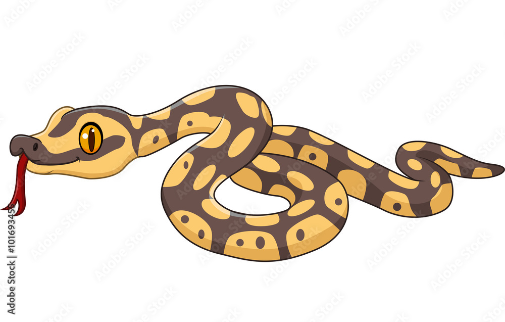 Cartoon snake character isolated on white background Stock Vector | Adobe  Stock