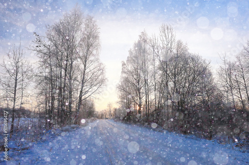 landscape winter road
