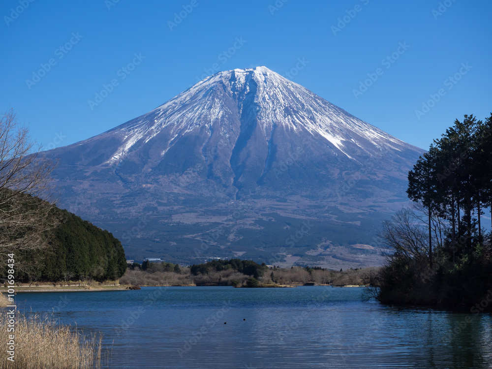 田貫湖と美しい富士山