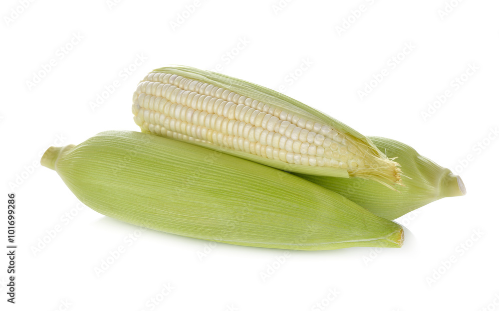 uncooked white corn wil leaf on white background uncooked white corn wil leaf on white background