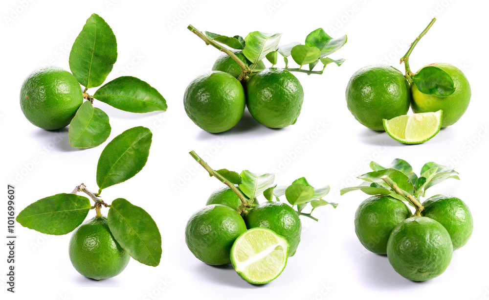 collection of Lime. Fresh fruit with leaf on white background collection of Lime. Fresh fruit with leaf on white background