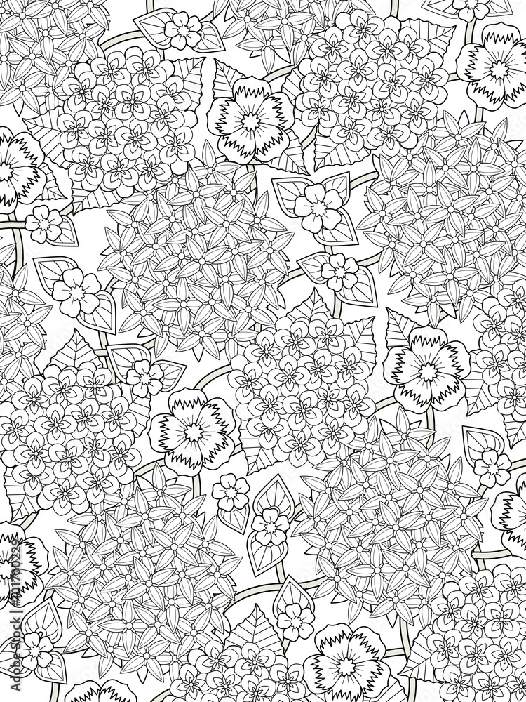 lovely hydrangea coloring page