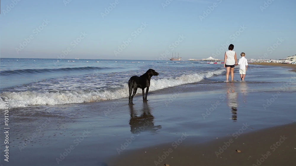 Mother an little son have a sea cost walk and black dog is there too :) Mother an little son have a sea cost walk and black dog is there too :)