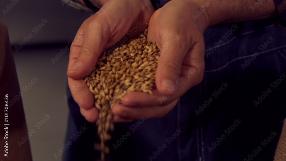 Brewery worker pouring hop grains Brewery worker pouring hop grains