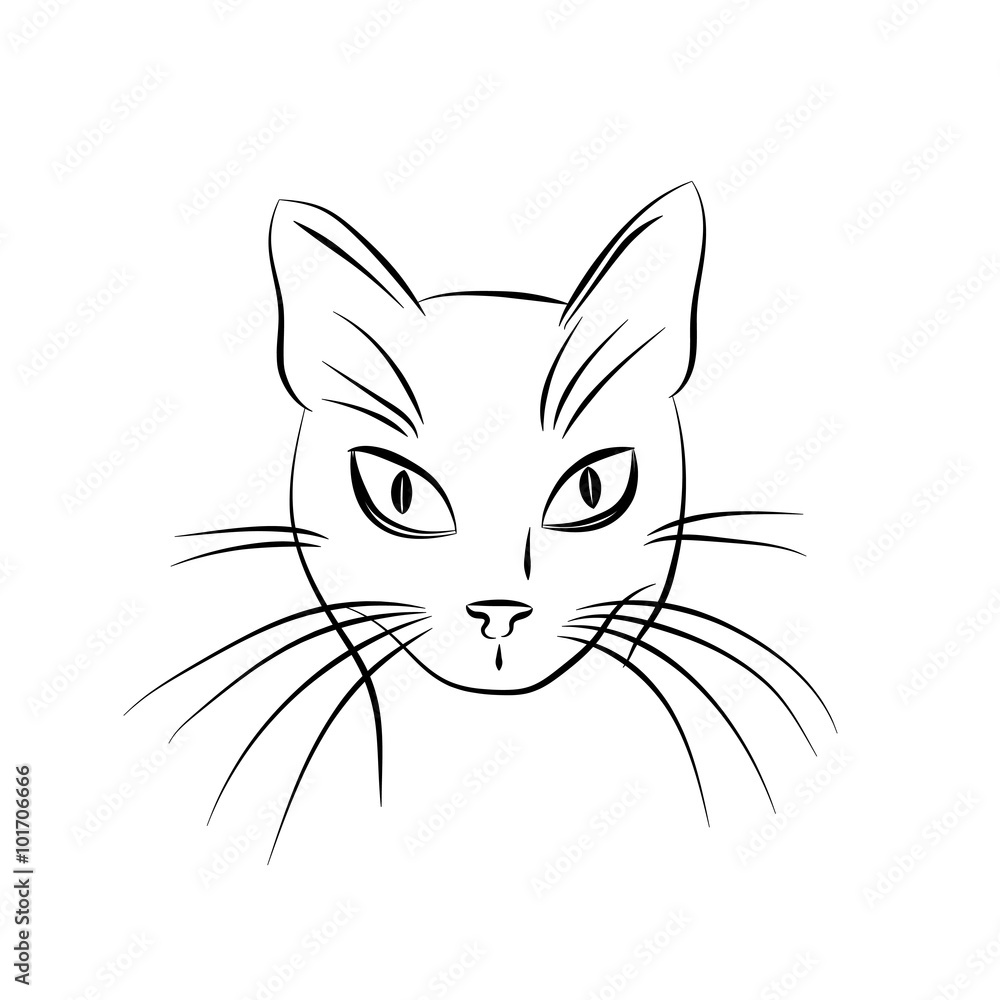 Cat face. Black and white sketch. Cat face. Black and white sketch.