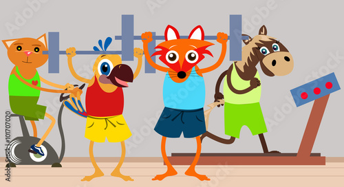 Animals training in the gym