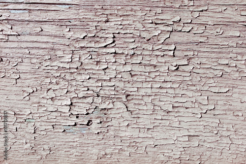 Cracked painted wooden board / Old painted wood and cracked paint