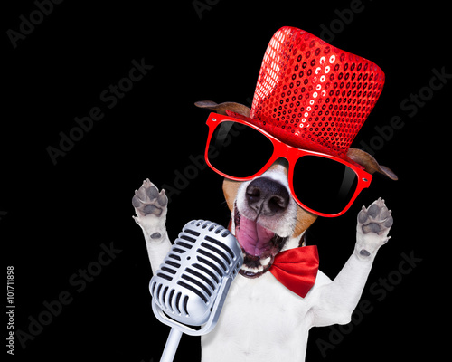 karaoke singing dog © Javier brosch