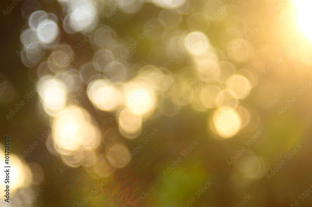 Nature autumn leaf with bokeh abstract background. Nature autumn leaf with bokeh abstract background.