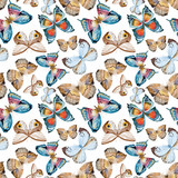 Watercolor vector butterfly pattern