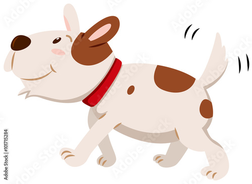 Little dog wagging its tail