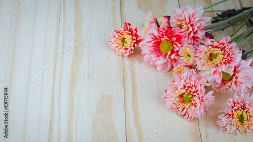 red and white flower background texture
