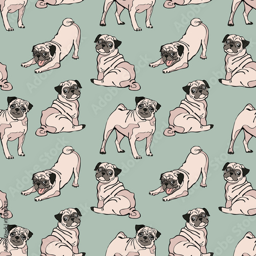 Dog. Cute dogs. Pug. Vector seamless pattern.