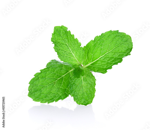mint on white background