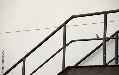 Metal fire escape