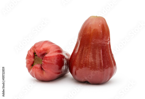 Rose apple on the white background