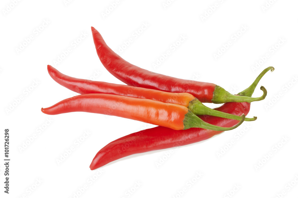 chili pepper isolated