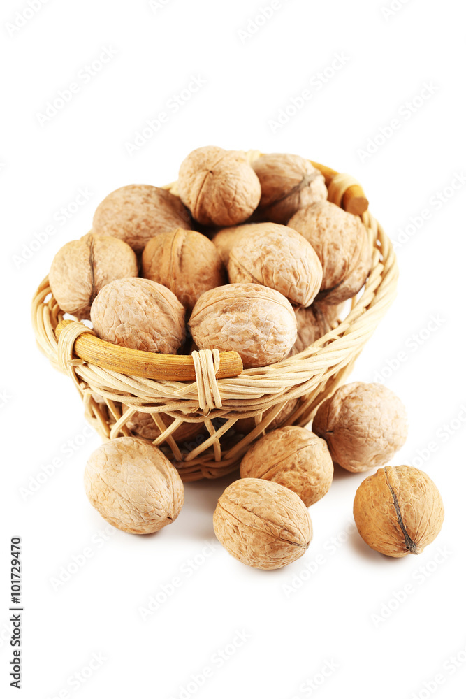 Walnut isolated on a white background Walnut isolated on a white background