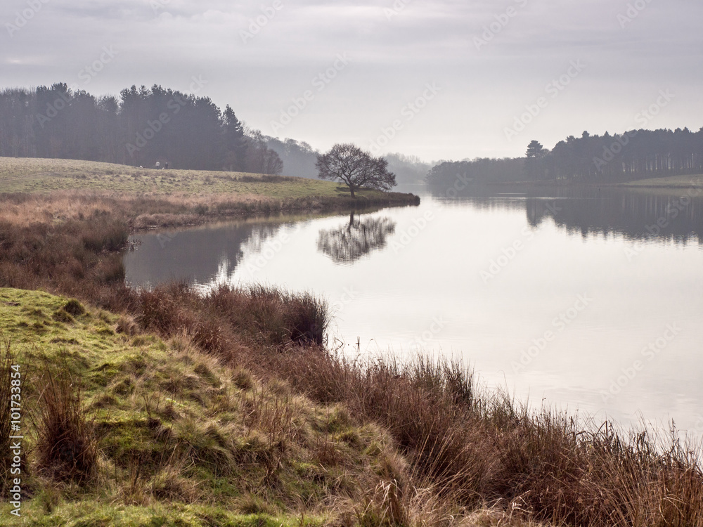 Winter at Tatton Park, Knutsford, Cheshire, UK