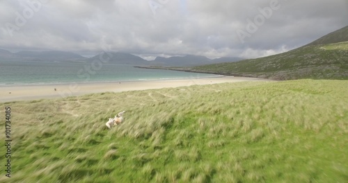 Stunning aerial shot of Luskentyre beach on the west coast of the Isle of Harris, Scotland
 photo