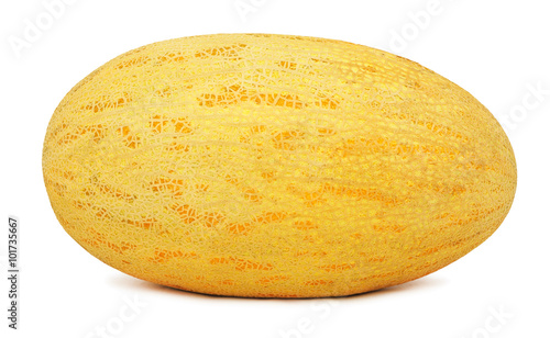 One ripe melon (isolated)