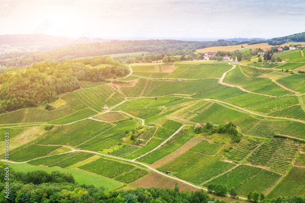 Panorama of vineyards in France. Panorama of vineyards in France.