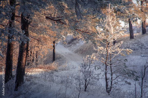 wonderful winter landscape © jenyateua