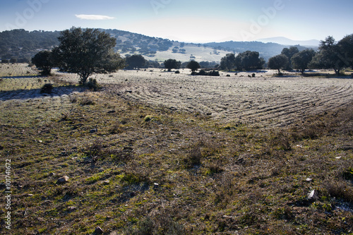 Campo en Navahermosa. Toledo photo