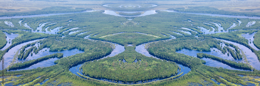 Forest river in flooding, top view