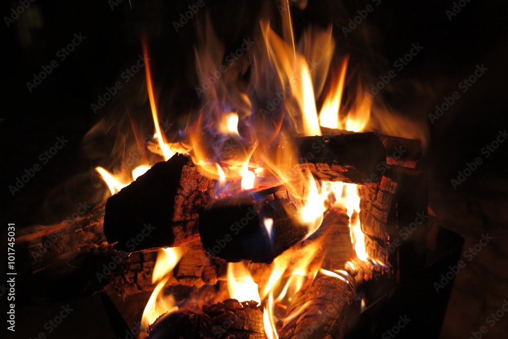 Fototapeta premium Night bonfire