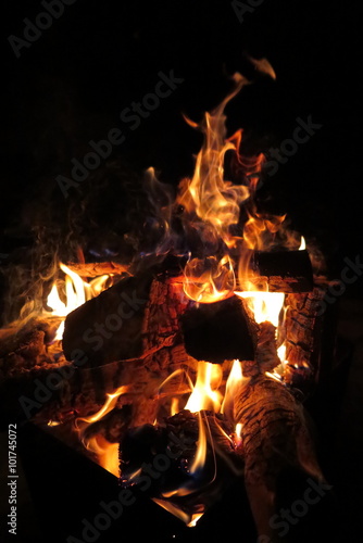 Night bonfire