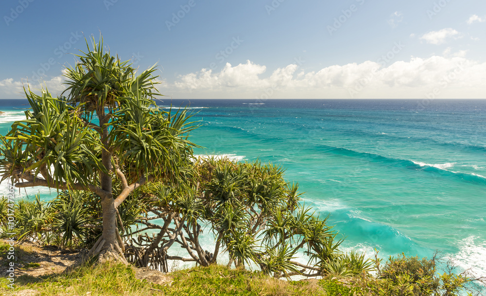 Pandanus palms and rocky headlands along the Queensland coastline on Stradbroke Island