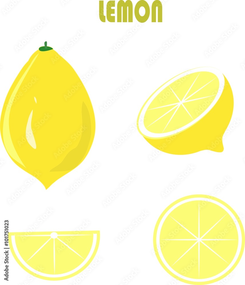 Yellow lemon, green roots, leaves, on white background, hand drawing, painting. Healthy eating, fruit, organic, packaging design, product packaging, product label, design elements, clipart, vector