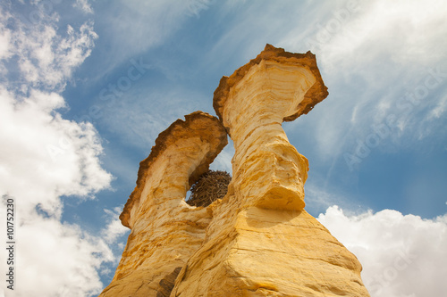 Yellow arch with eagle nest photo
